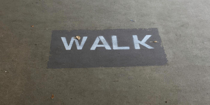 Why Walking Might Be The Best Brain Tonic, and Why You Need to Start Now